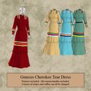 Genesis Cherokee Tear Dress